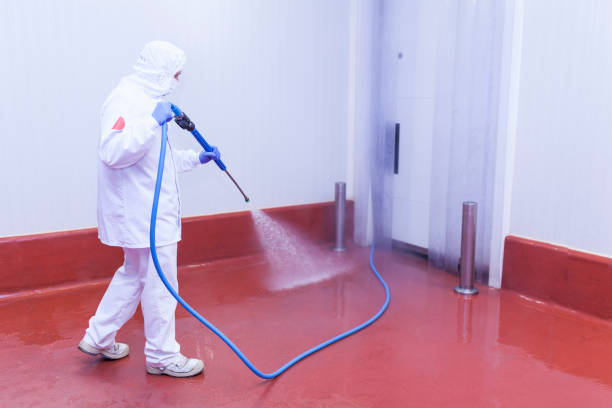 Best Spring Cleaning  in Archbald, PA